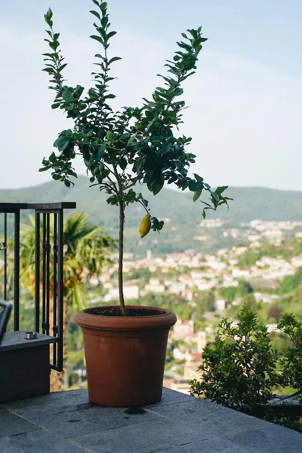 بيت ضيافة Villa Almana تْشيرنوبيو